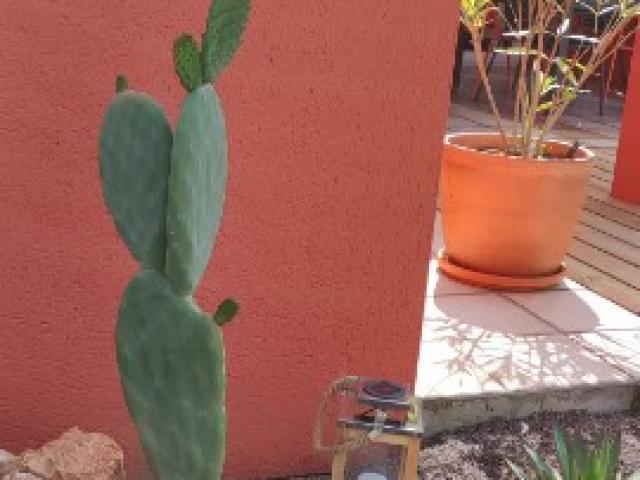 Rénovation de cette façade qui était ternie par le temp et pas mis en valeurs