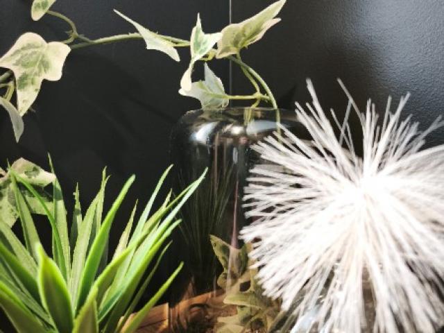 Black is the new chic. ????????